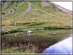 foto Lago di Montalon